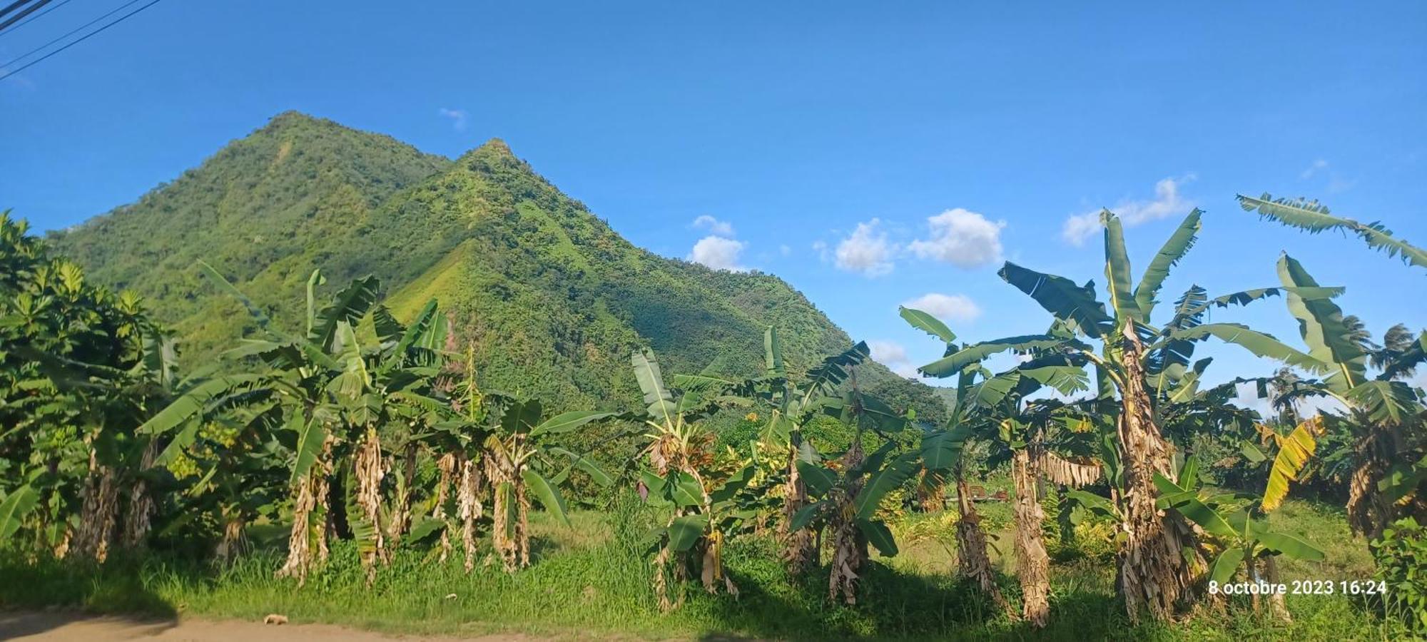 Hava'E Lodge Teahupoo Exterior photo